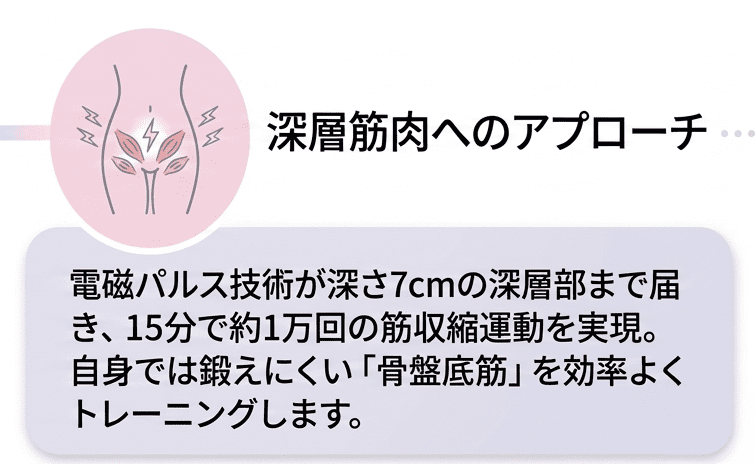 深層筋へのアプローチ