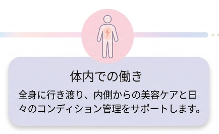 体内での働き